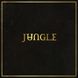 Виниловая пластинка Jungle - Jungle (VINYL) LP 1